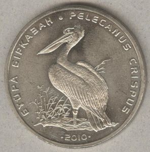 50 тенге. 2010 год. "Кудрявый пеликан" ― 